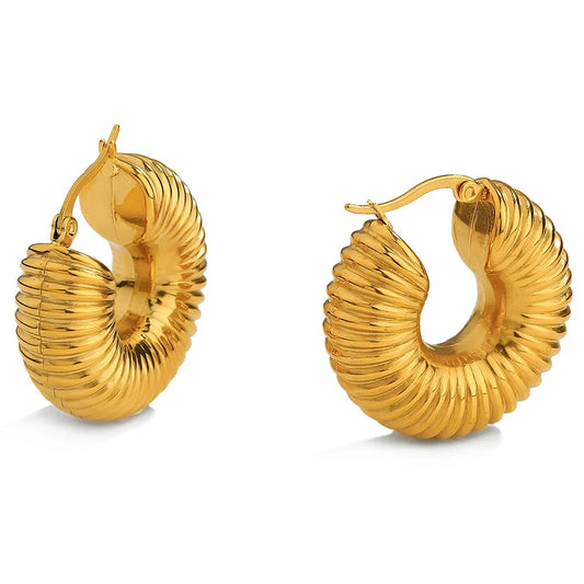 Kaylee Hoop Earrings YA Accessories Store