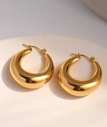 Emma Chunky Hoop Earrings ARDEINAL